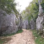 Rural Carolina