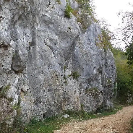 Rural Carolina * Zrenj